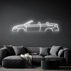 Eos 2009 Neon Silhouette