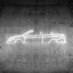 Eos 2009 Neon Silhouette